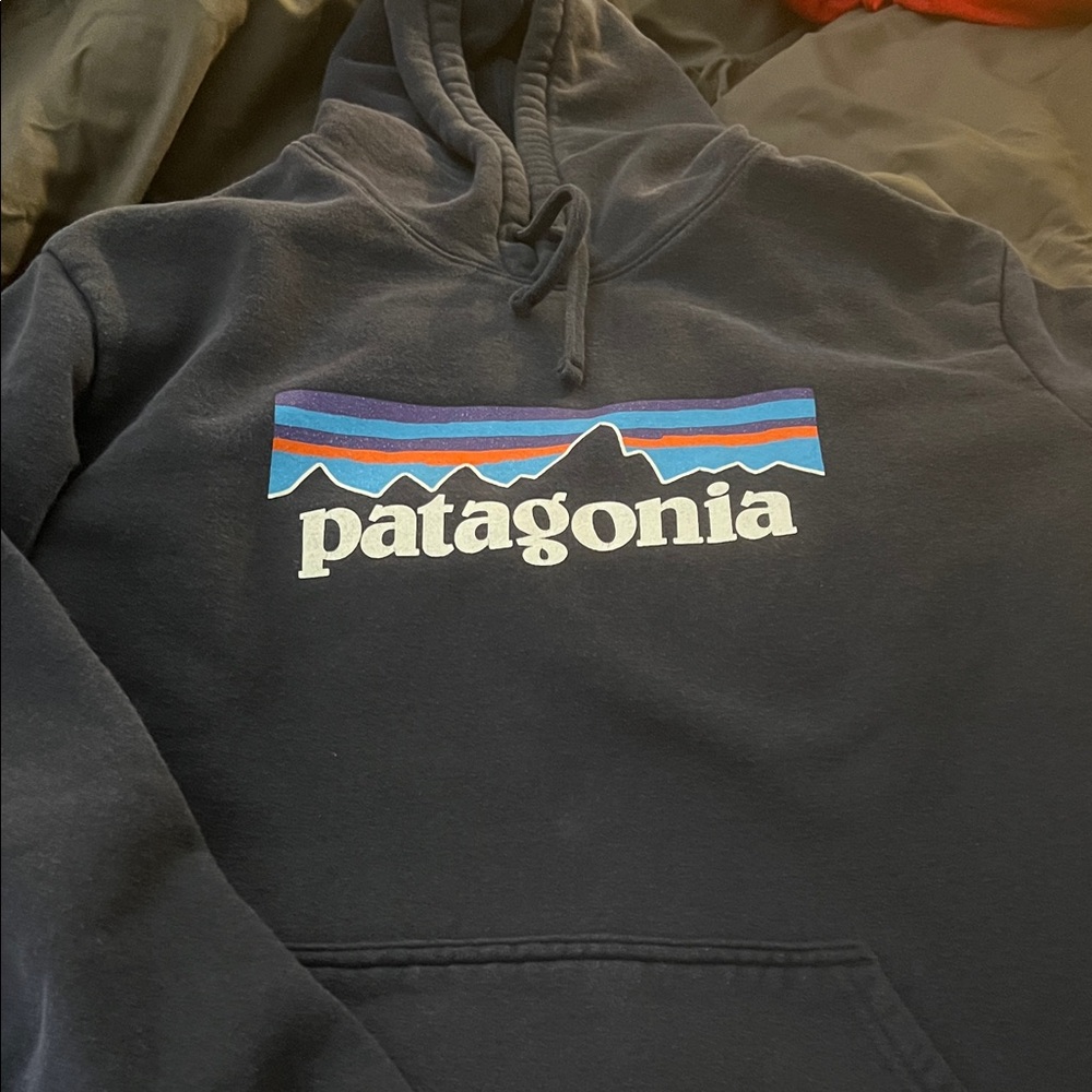 Patagonia Men's Dark Blue Hoodie with Logo